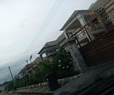 Isaiah Ifeanyi | Real Estate Consultant