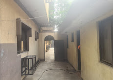 Dumsy Glow Touch