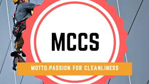 Master Care Cleaning Services