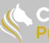 Citistallion Properties