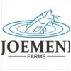 Joemeni Light Farm Enterprise