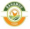 Bahamuu Farms
