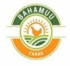 Bahamuu Farms
