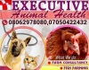 Executive Animal Health Services