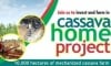 Cassava Home Project