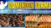 Dominion Farm