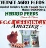 Yetnet Agro Feeds