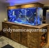Dynamic Aquarium Nigeria