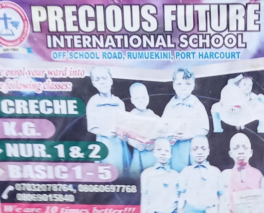 Precious future international school
