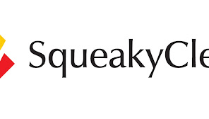 SqueakyClean Services Limited