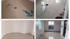 Pristine Bee Consulting Services Ibadan