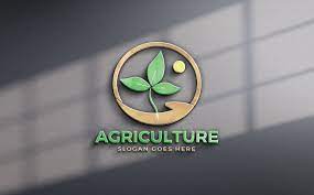 Bismol Hospital And Maternity Limited