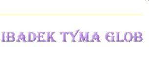 Ibadek Tyma Global Company Limited