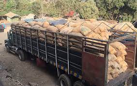 Ideal Risku Global Limited