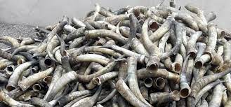 DEDEJ Logistics & Solutions Limited