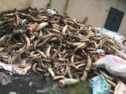 Emmabert Company Nigeria Ltd