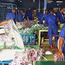 West African Rubber Products Nigeria Ltd