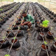 Esopat Nigeria Limited