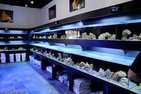 Aquarium Shop