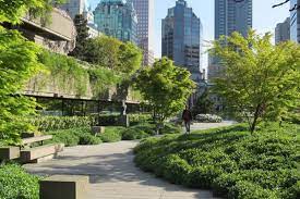 African Ecological Restoration Foundation