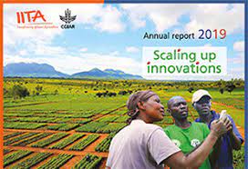 International Institute of Tropical Agriculture