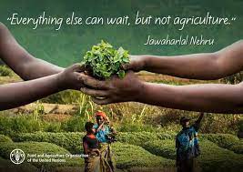 Food and Agriculture Youth Initiative