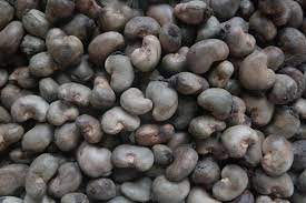 Parvenu Ventures Limited