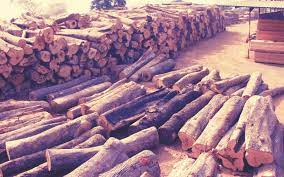 Wan Wood Nigeria Limited