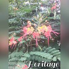 Heritage Agricultural Services