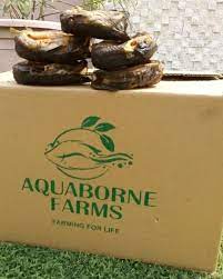 Aquaborne Farms
