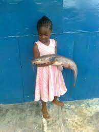 St Mosco Feednaion Ltd