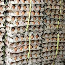 NI Godswill & Co Farm