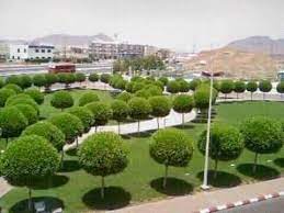 N.U.R.T.W Calabar Branch