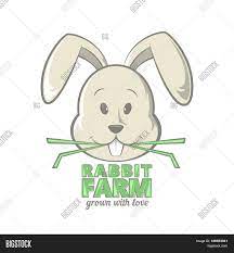 Xynoby Medical Diagnostics