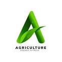 Disney Hotel