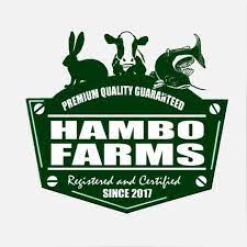 Our Lady & St. Francis Catholic College Osogbo