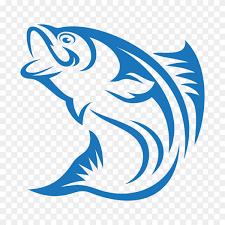 The Limi Children's Hospital