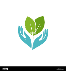 Salvage Biz-hub Nig. Ltd