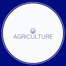 Zumma World Livestock Feeds