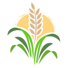 Ibadan Business School