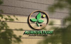 Akeem and Kamoru Nigeria