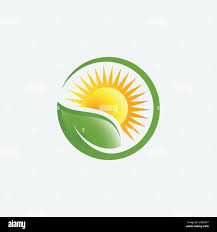 Edo Co-operative Farmers