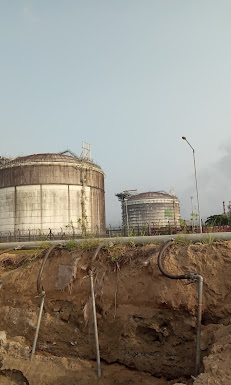 Evomec Global Services Limited