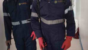 DELMAHILLS CLEANING $ FUMIGATION SERVICES