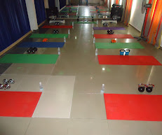 Giant Grapes Fitness