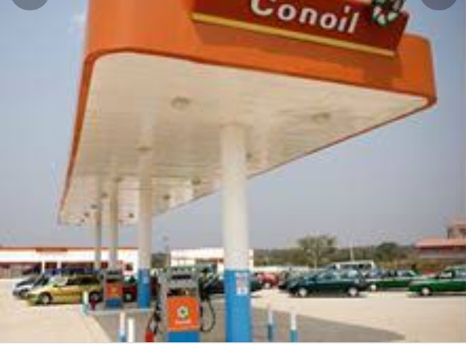 Conoil Petroleum And Gas Limited