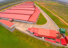 ELALAN Construction Company