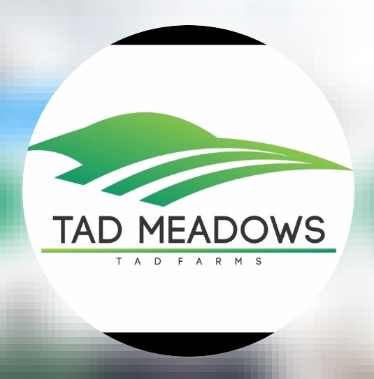 TAD MEDOWS