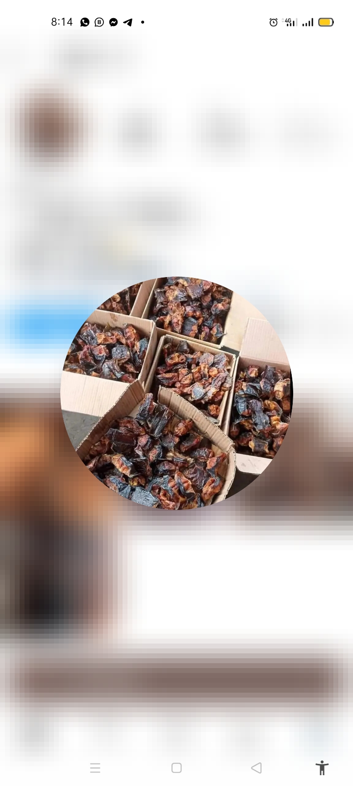 Chris Alex dry cat fish store