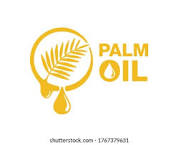 Chukwuemeka Umeh &amp; Co. Ebenezer Chambers